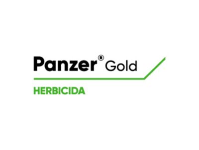 Logo de Panzer Gold